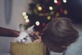 Girl looking in a golden gift box with fluffy bunny looking out of it