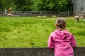 Girl looking out over Farm