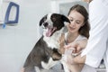 Girl looking at veterinary doctor wrapping bandage on dog's leg in clinic