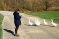 The girl looks at the geese