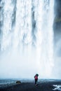 Girl looks at the greatness of water jets in a waterfall Skogafoss in Iceland. Exotic countries. Amazing places. memories, Royalty Free Stock Photo