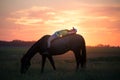 Girl lying on her horse bareback Royalty Free Stock Photo