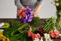 Girl make bouquet over gray background.