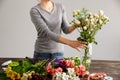 Girl make bouquet over gray background, putting flowers in vase. Royalty Free Stock Photo