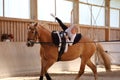 Girl makes a star on horse Royalty Free Stock Photo