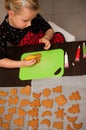 Girl making gingerbread cookies for Christmas Royalty Free Stock Photo