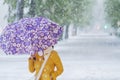 Girl with mauve umbrella walking in Snow Storm in April. Royalty Free Stock Photo