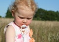 Girl on meadow with teat Royalty Free Stock Photo