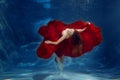Girl mermaid. Underwater scene. A woman, a fashion model in the Royalty Free Stock Photo