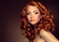Girl model with long curly red hair. Royalty Free Stock Photo