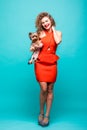 Girl model looks together in red dress posing in full growth. Beautiful woman holds small dog Terrier york isolated on green backg Royalty Free Stock Photo