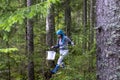 Girl mushroom picker walks through wild forest in search of edible mushrooms Royalty Free Stock Photo