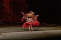 A girl in a national dress dances a gypsy dance
