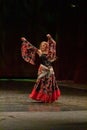 A girl in a national dress dances a gypsy dance Royalty Free Stock Photo