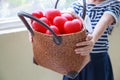 Girl in navy blue striped dress handing basket of red hearts represents helping hands, family support, morale, purity, innocence, Royalty Free Stock Photo