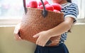 girl in navy blue striped dress handing basket of red hearts represents helping hands, family support, morale, purity, innocence, Royalty Free Stock Photo