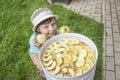 Girl near dryer with green, yellow delicious dry homemade pieces apple Royalty Free Stock Photo