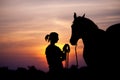 The girl near to a horse standing in front of a beautiful sunset Royalty Free Stock Photo