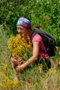 Girl near a yellow bush Royalty Free Stock Photo