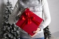 The girl in a New Year`s sweater with deer holds in hand a red box with a gift and a red tape against the background of a fir-tree