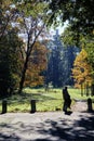 Girl observing nature in Monza Park on a beautiful autumn day: A serene moment capturing the essence of a leisurely day, Royalty Free Stock Photo