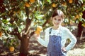 Girl and oranges, girl picks oranges, fruit orange grove, organic farm, Israel Royalty Free Stock Photo