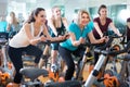 Girl and other females working out in sport club Royalty Free Stock Photo