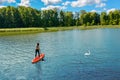 Girl paddling on SUP board near white swan bird on beautiful lake, standing up paddle boarding adventure with wildlife in Germany Royalty Free Stock Photo