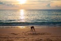 Girl painting heart on sand on beach near the sea in sunset Royalty Free Stock Photo