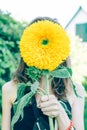 The girl in the Park, covering the face of the sunflower Royalty Free Stock Photo