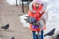 a girl in the park feeds pigeons in winter. they sit on her arm Royalty Free Stock Photo