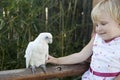 Girl and Parrot Royalty Free Stock Photo