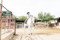 Girl Participating In Equine Therapy Program