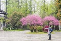 girl and The peach blossom Royalty Free Stock Photo