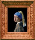 Girl with a Pearl Earring 1665 Royalty Free Stock Photo