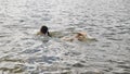 Girl peeping from lake surface at summer nature closeup.