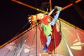 Girl Performing at Singapore Night Festival