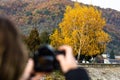 Girl photographing an autumn tree, autumn colors of the forest Royalty Free Stock Photo