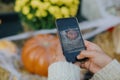 Girl photographing on phone rustic halloween street decor, hands close up. Young woman taking photo of pumpkins and autumn flowers Royalty Free Stock Photo
