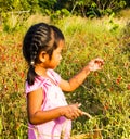 Girl pick up chilli. Royalty Free Stock Photo