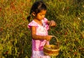 Girl pick up chilli. Royalty Free Stock Photo