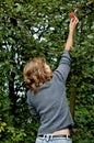 Girl picking an apple