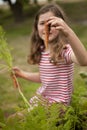 Girl picking carrots in vegetable garden