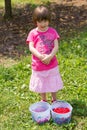 Girl picking cherries Royalty Free Stock Photo