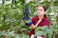 Girl picking cucumbers in hothouse