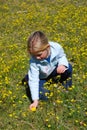 Girl picking flowers Royalty Free Stock Photo