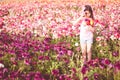 Girl picking flowers in a field. Royalty Free Stock Photo