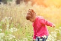 Girl picking flowers in the meadow Royalty Free Stock Photo