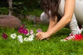 Girl picking flowers Royalty Free Stock Photo