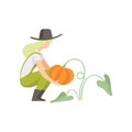 Girl picking pumpkin, farmer harvesting, woman working in the garden vector Illustration